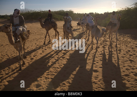 Beduinen und ihre Kamele in der Nähe von Banganarti, Old Dongola Region, Nubia, Sudan, Afrika Stockfoto