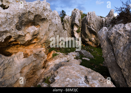 Kalksteinsäulen stehen auf der Adamit Bergkette im oberen Galiläa Israel Stockfoto