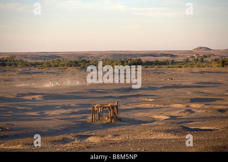 4. Nil Catharact Region Nubien Sudan Stockfoto