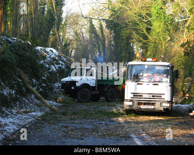 Verschneite winterliche Szene, Straße blockiert, Schnee, Straße geschlossen, Bäume gefällt, Bewachsene Bäume, Holzfäller, Baumärzten, ausgebildete Baumärzten, Entfernen des Baumes, TPO Stockfoto