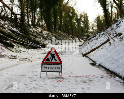 Verschneite winterliche Szene, Straße blockiert, Schnee, Straße geschlossen, Bäume gefällt, Bewachsene Bäume, Holzfäller, Baumärzten, ausgebildete Baumärzten, Entfernen des Baumes, TPO Stockfoto