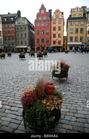 Bunte Häuser, Stortorget, Gamla Stan, die Altstadt von Stockholm, Schweden Stockfoto