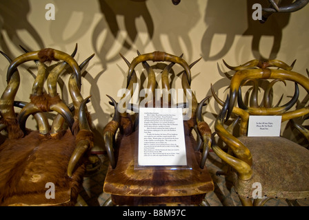 Buckhorn Saloon und das Museum San Antonio Texas tx handgemachte Stühle von tierischen Buffalo Hörner Stockfoto