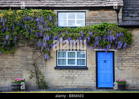 Stein gebaut strohgedeckten Wisteria Cottage Barnack Dorf Cambridgeshire County England Großbritannien Großbritannien Stockfoto