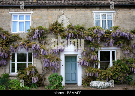 Stein gebaut strohgedeckten Wisteria Cottage West Deeping Dorf Lincolnshire Grafschaft England Großbritannien UK Stockfoto