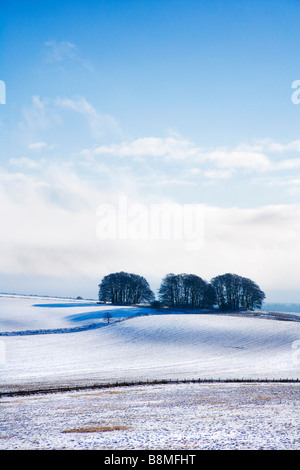 Einen sonnigen verschneiten Winter Landschaftsansicht oder Szene blickt Overton Hill in Wiltshire Downs England UK Stockfoto