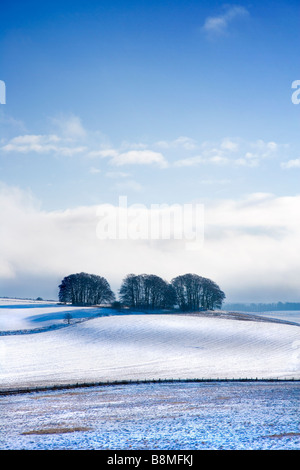 Einen sonnigen verschneiten Winter Landschaftsansicht oder Szene blickt Overton Hill in Wiltshire Downs England UK Stockfoto