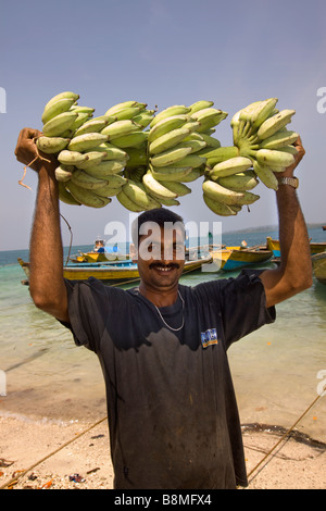 Indien-Andamanen und Nikobaren Havelock Insel Nummer 1 Strand Mann laden grüne unreife Bananen Stockfoto