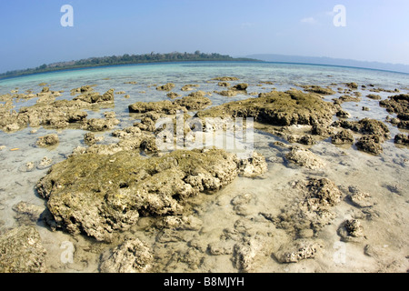 Indien-Andamanen und Nikobaren Havelock Insel Nummer 2 Strand Korallen-Riff bei Ebbe freigelegt Stockfoto