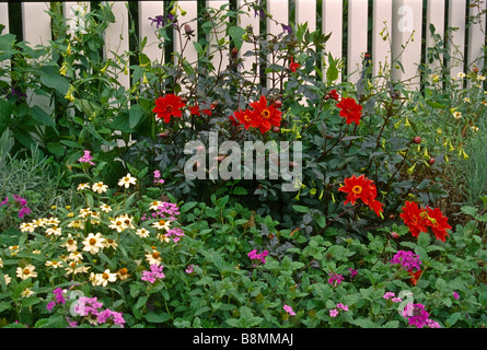 Bunte Blume Bauerngarten vor einem wartungsarmen Vinyl-Zaun gepflanzt. Stockfoto