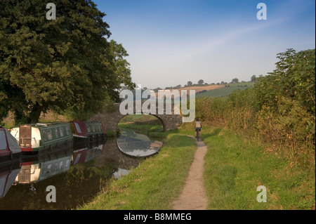 Radweg der Taff Trail auf der Monmouthshire und Brecon Canal Brecon Beacons Nationalpark wales powys Stockfoto