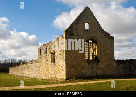 Die Ruinen der Abtei von Godstow, Port-Wiese, Oxford, England. Stockfoto