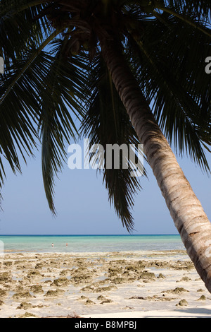 Indien-Andamanen und Nikobaren Havelock Inseltouristen auf Nummer 5 Strand bei Ebbe Stockfoto