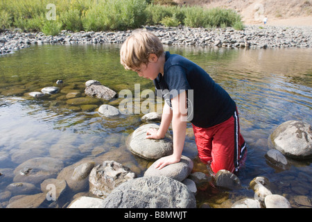 neun Jahre alten Jungen auf der Suche nach Fisch in einem Fluss, Sacramento, Kalifornien, Frühling Stockfoto