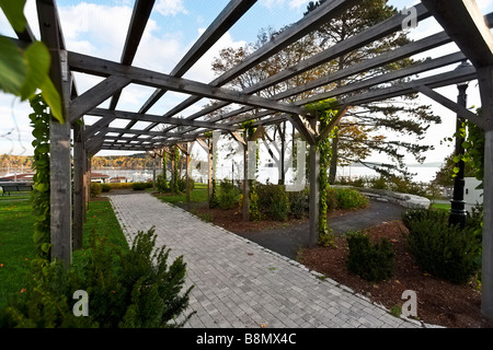 Pergola im park Stockfoto