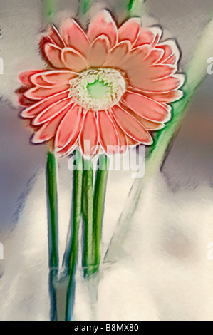 Eine Skizze der Orange rote Gerbera Daisy Blume Stockfoto