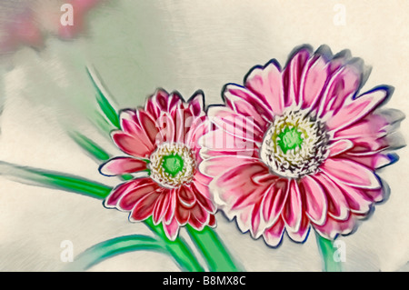 Eine Skizze des roten Gerbera Daisy Blume paar mit Grün-Zentren Stockfoto