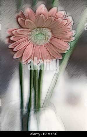 Eine Skizze der Orange rote Gerbera Daisy Blume Stockfoto