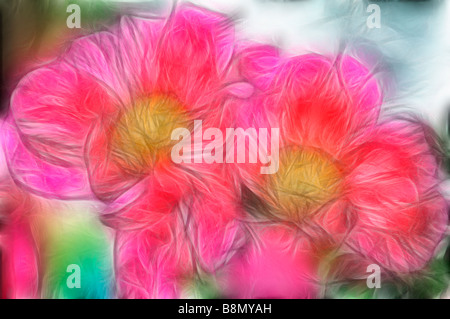Malerische Bild von zwei leuchtend rote Pfingstrose Blumen Stockfoto