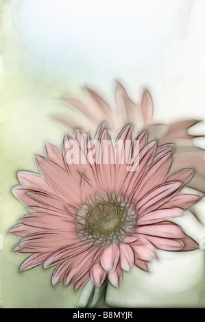 Eine Skizze des Coral Pink Gerbera Daisy Blume, weichen Hintergrund grüne Gras und blauer Himmel Stockfoto