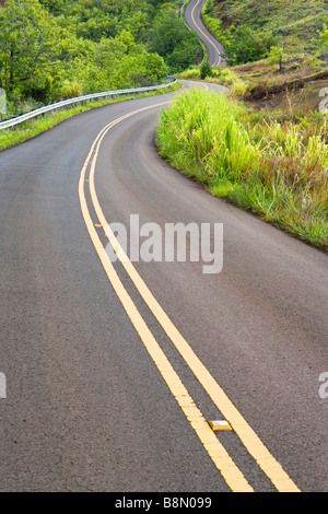 Wicklung von Highway 550 auf dem Weg bis zum Waimea Canyon nur nördlich von Waimea Kauai Hawaii USA Stockfoto