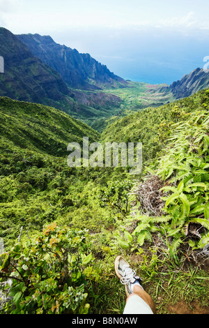 Blick auf das Kalalau Valley und dem Pazifischen Ozean aus Kokee State Park Kauai Hawaii USA Stockfoto