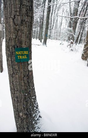 Ein Naturlehrpfad ist im frischen Schnee Charlottesville Virginia bedeckt. Stockfoto