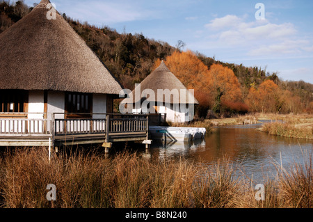 Das WWT Arundel Wetland Centre in West Sussex UK Stockfoto