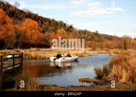 Das WWT Arundel Wetland Centre in West Sussex Stockfoto