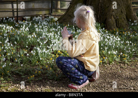 Junge blonde behaarte Mädchen fotografieren von gemeinsamen Schneeglöckchen an einem Frühlingsmorgen. Stockfoto