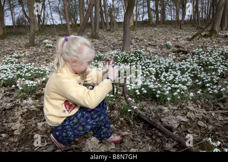 Junge blonde behaarte Mädchen fotografieren von gemeinsamen Schneeglöckchen an einem Frühlingsmorgen. Stockfoto