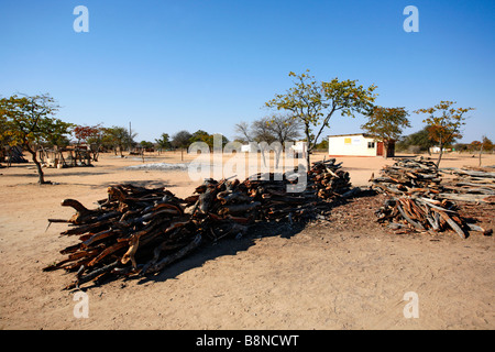 Haufen von Mopane Brennholz zum Verkauf an einem Straßenrand stall Stockfoto