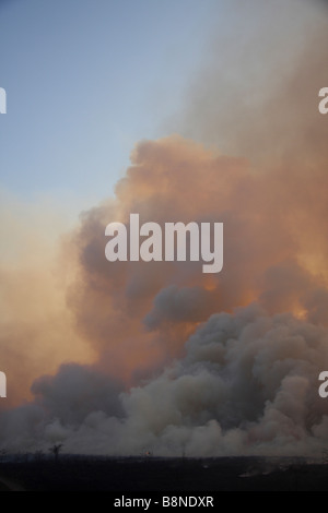 Dicke Wolken grau Rauch während wütende Veld Brandschutz im Tembe Elephant Park Stockfoto