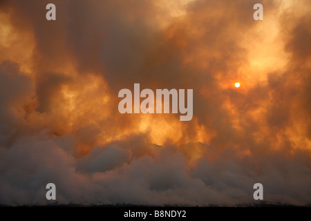 Dicke Wolken grau Rauch während wütende Veld Brandschutz im Tembe Elephant Park Stockfoto