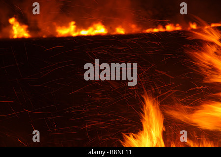 Veld Feuersbrunst im Tembe Elephant Park Stockfoto