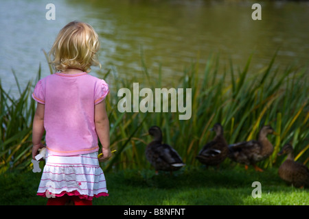 Ein junges Mädchen fragt sich gegen einige Enten neben einem Teich an einem warmen sonnigen Tag Stockfoto