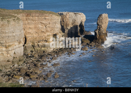 South Shields Küste. Stockfoto