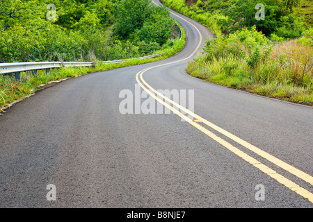 Wicklung von Highway 550 auf dem Weg bis zum Waimea Canyon nur nördlich von Waimea Kauai Hawaii USA Stockfoto