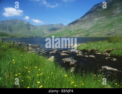 Llyn Ogwen Sommer Seeblick Y Garn und Foel Goch in der Nähe von Bethesda Snowdonia National Park Gwynedd North Wales UK Stockfoto