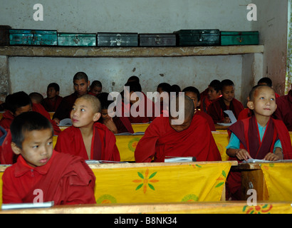 Junge Mönche in der Klasse den Zustand klösterliche Schule Dechen Phodrung Kloster. Stockfoto