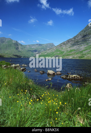 Llyn Ogwen Sommer Seeblick Y Garn und Foel Goch in der Nähe von Bethesda Snowdonia National Park Gwynedd North Wales UK Stockfoto