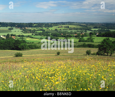 Englische Landschaft über Kent Landschaft von Goudhurst England GB Stockfoto