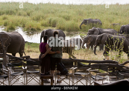 2 romantische Reisende sind fasziniert von einer Herde Elefanten bewegen durch ihre Safari-Camp im Norden Botswanas Stockfoto