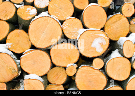 Haufen von Grossbaum protokolliert Sägeschnitt Muster im Winter teilweise mit Schnee bedeckt. Stockfoto