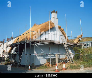 Devon England GB strohgedeckten Hütte Dach wird Stockfoto