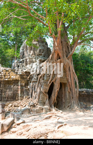 Baum überwindet Tür am Ta Som Angkor Wat Komplex Kambodscha Stockfoto