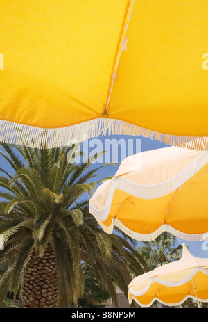 Blick nach oben auf gelbe Sonnenschirme mit blauen Himmel und Palmen hinter. Stockfoto