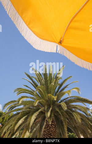 Blick nach oben auf eine gelbe Sonnenschirm mit blauen Himmel und Palmen hinter. Stockfoto