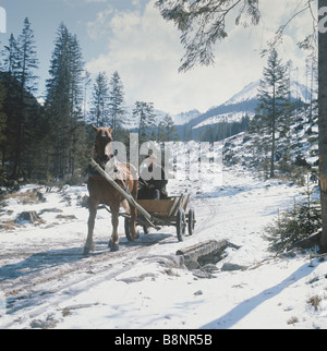 traditionellen Pferdefuhrwerken Tatra Gebirge Zakopane-Polen Stockfoto