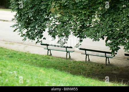 Frankreich, Paris, Parkbänke unter schattigen Baum Stockfoto